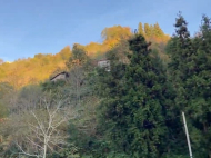 ვიყიდი კერძო სახლს საკურორტო რაიონში ჩაქვში, ჩაისუბანი. ფოტო 16