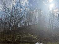 Продается земельный участок в пригороде Батуми, Ортабатуми. Фото 2