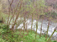 Buy a house by the river near Ozurgeti, Georgia. Forested area, resort area, very beautiful location. Photo 4