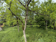 House for sale with a plot of land in Lanchkhuti, Georgia. Photo 16