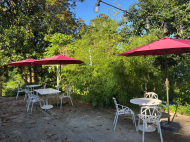 იყიდება კერძო სახლი ზღვასთან ციხისძირში, საქართველო. ზღვის ხედებით. ფოტო 2