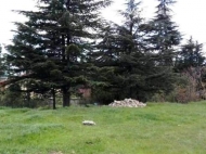 Land parcel, Ground area for sale in the suburbs of Tbilisi, Tbilisi Reservoir. Photo 1