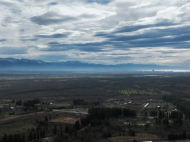 An existing agricultural complex for sale. Greenhouse. Photo 13
