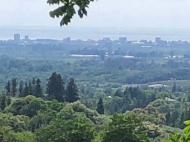 Land parcel, Ground area for sale in Mukhaestate, Georgia. Tangerine garden. Photo 1