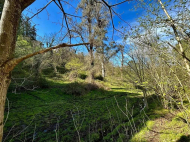 იყიდება მიწის ნაკვეთი ურეკში, საქართველო. ფოტო 2