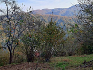 Частный дом в тихом районе с видом на город. Тхилнари, Батуми, Грузия. Фото 6