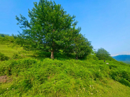 Land parcel, Ground area for sale in the suburbs of Batumi. Akhalsheni. Photo 6