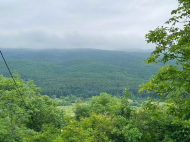 Купить частный дом в курортном районе Амбролаури, Грузия. У реки. Фото 2
