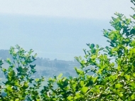 Продается земельный участок в пригороде Батуми, Грузия. Земельный участок с видом на море. Фото 5