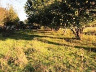 Земельный участок с животноводческой фермой в Кахетии, Грузия. Фото 1