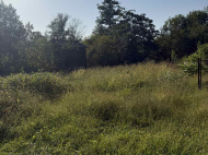 House for sale with a plot of land in the suburbs of Meria, Georgia. Near the river. Photo 14