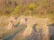 Купить частный дом в курортном районе Цхалтубо, Грузия. Фото 16