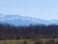 Продается земельный участок в Натанеби, Грузия.  Фото 1