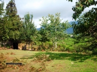 Продается земельный участок в живописном месте. Купить частный дом с земельным участком в окрестностях Озургети, Грузия. Фото 4
