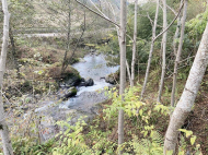 ვიყიდი კერძო სახლს საკურორტო რაიონში ჩაქვში, ჩაისუბანი. ფოტო 4