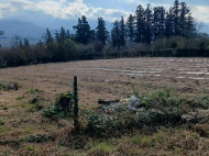 House for sale with a plot of land in the suburbs of Ozurgeti, Georgia. Near the river. Working business. Photo 15