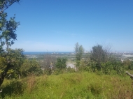 Ground area for sale in Batumi, Georgia. Land with sea and mountains view. Photo 3