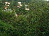 House for sale with a plot of land in the suburbs of Batumi, Sameba. Photo 8
