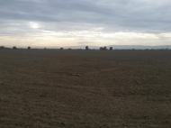 Land for sale in Kvareli, Kakheti, Georgia. Ground area for investment. Photo 2