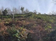 Продается земельный участок в пригороде Батуми, Грузия. Вид на море и горы. Фото 6
