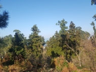 Земельный участок с видом на море и горы в Цихисдзири, Грузия. Фото 1
