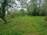 Urgent sale of land in Supsa, Georgia. Photo 7