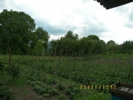 Sold a ready farm with a plot of 15 hectares Photo 9