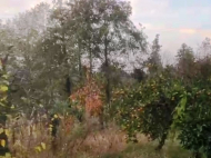 House with land for sale in Ozurgeti. Guria, Georgia. Photo 5