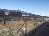 Продается действующий сельскохозяйственный комплекс. Животноводческая ферма в Марнеули, Грузия. Фото 13