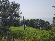 Ground area for sale in a quiet district of Sarpi, Georgia. Land with sea view. Photo 4