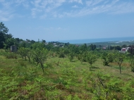 Ground area for sale in Akhalsopeli. A plot of land for sale in the suburbs of Batumi, Georgia. Land parcel with sea view and mountains. Photo 7