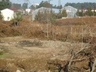 Ground area ( A plot of land ) for sale in Chakvi, Georgia. Next to busy highway Tbilisi - Batumi. Photo 3