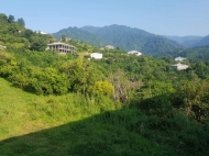 Частный дом на продажу в тихом районе Кобулети. Купить частный дом с мандариновым садом в тихом районе Кобулети, Грузия.  Фото 11