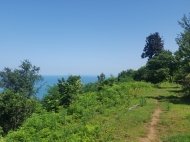 Ground area ( A plot of land ) for sale in Batumi, Georgia. Land with with sea and сity view. Photo 5