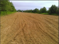 Ground area ( A plot of land ) for sale in Anaklia, Georgia. Walnut garden. Photo 6