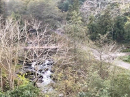 ვიყიდი კერძო სახლს საკურორტო რაიონში ჩაქვში, ჩაისუბანი. ფოტო 8