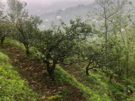 Land parcel, Ground area for sale in the suburbs of Batumi, Georgia. Photo 4