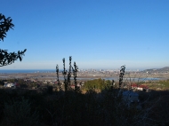 Land parcel, Ground area for sale in Akhalsopeli, Batumi, Georgia. Land with sea and mountains view. Photo 1