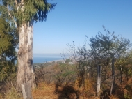 Land parcel for sale in Tsichisziri, Ajaria, Georgia. Land with with sea and mountains view.  Photo 3