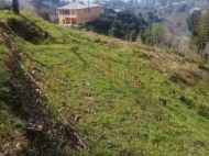 plot for sale with sea view buknari Georgia Photo 3