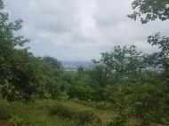 Land parcel, Ground area for sale in Akhalsopeli, Batumi, Georgia. Land with with sea and mountains view. Photo 6