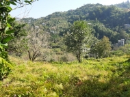 Land for sale on the top of Tkhilnari, Adjara, Georgia. Photo 4