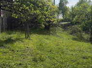 House for sale with a plot of land in the suburbs of Ozurgeti, Georgia. Photo 4