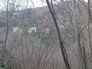 Продается дом с земельным участком в красивом месте. Купить частный дом в курортном районе Бобоквати, Грузия. У реки. Фото 3