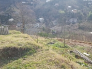 House for sale with a plot of  land and fruit garden (tangerine garden) in Khelvachauri, Georgia. Photo 7