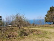 Land for sale near the sea in Sarpi, Georgia. Photo 1