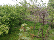 House for sale with a plot of land in the suburbs of Ozurgeti, Georgia. Near the river. Photo 31