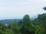 Land parcel, Ground area for sale at the seaside of Chakvi, Georgia. Sea view. Photo 1