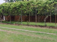 იყიდება ორი სახლი ერთ მიწაზე. ყიდვა კერძო სახლის მიწის ნაკვეთით სენაკში, საქართველო. გამოდგება კომერციული საქმიანობისათვის. ფოტო 5