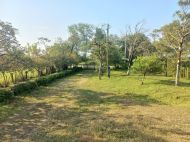 House for sale with a plot of land in the suburbs of Poti, Georgia. Orchard. Walnut garden. Near the river. Photo 9